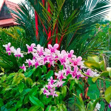 Family-Friendly House, A Few Steps From The Pool And Close To The Ocean. Mae Phim Exterior photo